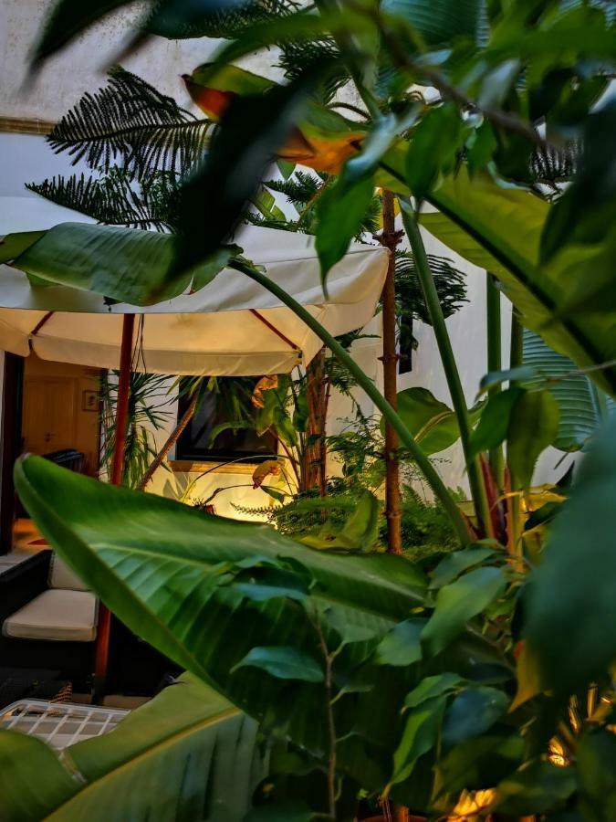 B&B Corti Carmela Gallipoli Εξωτερικό φωτογραφία